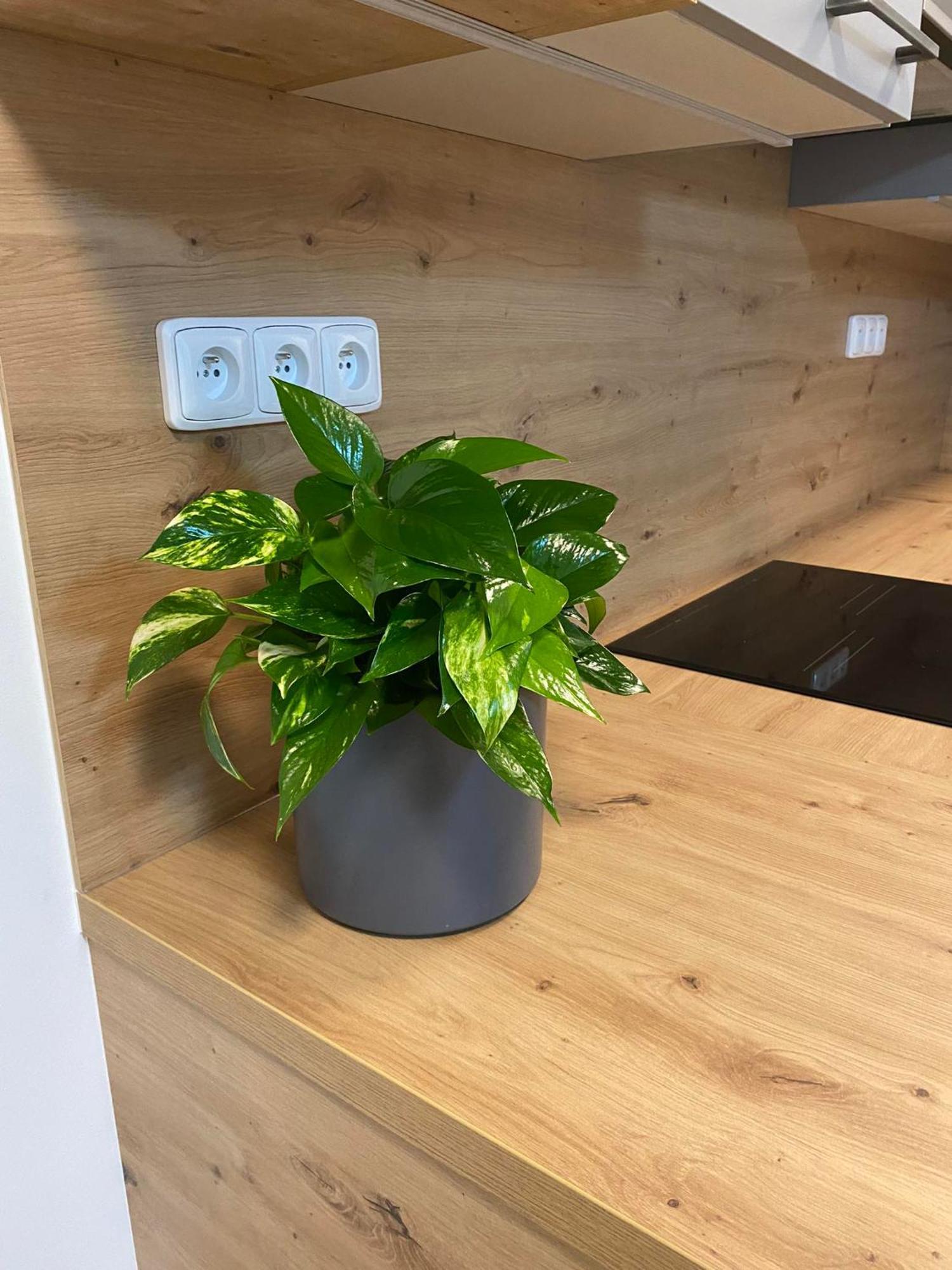 Apartmany Hodonin Hodonin