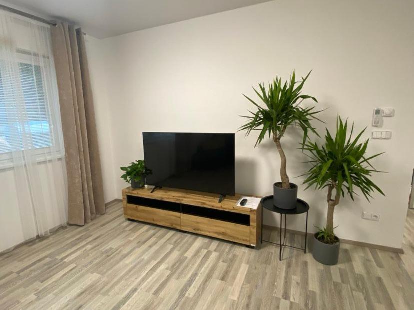 Apartmany Hodonin Apartment *