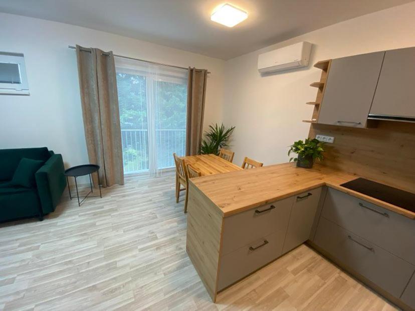 Apartmany Hodonin Apartment